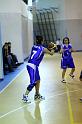 Basket 252028